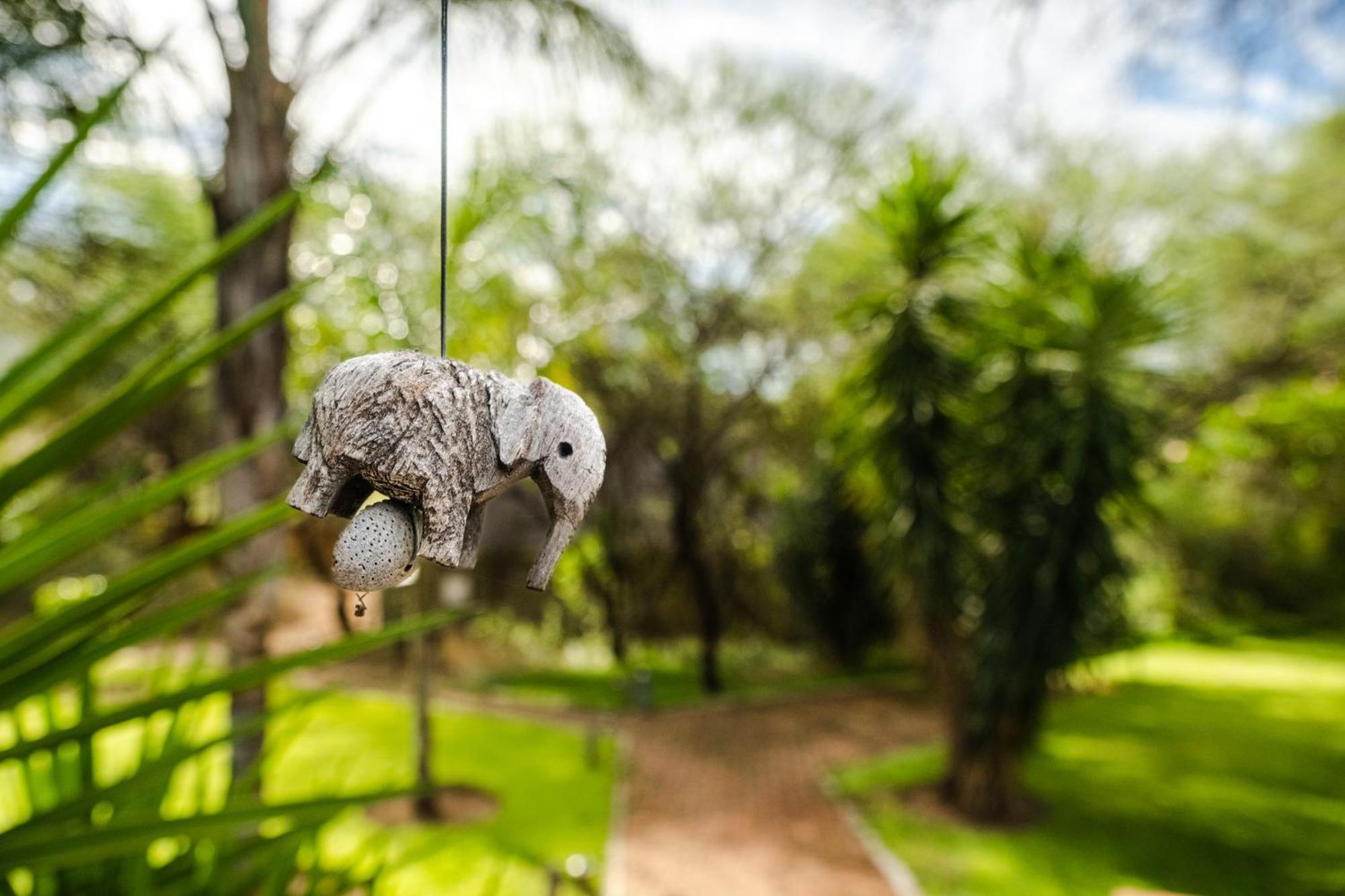 Taranga Safari Lodge รุนดู ภายนอก รูปภาพ